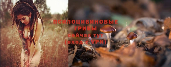 первитин Заводоуковск