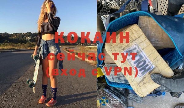 первитин Заводоуковск