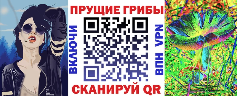 Псилоцибиновые грибы прущие грибы  Купить закладки  Пучеж 